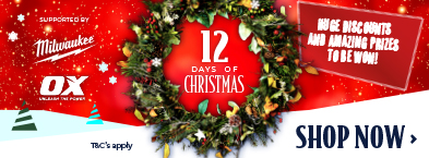 12 Days of Christmas 393px x 145px.jpg